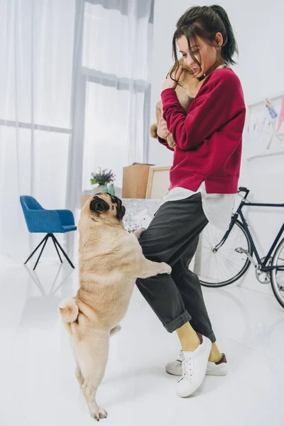 Attractive young girl playing with pugs in stylish room — Stock Photo