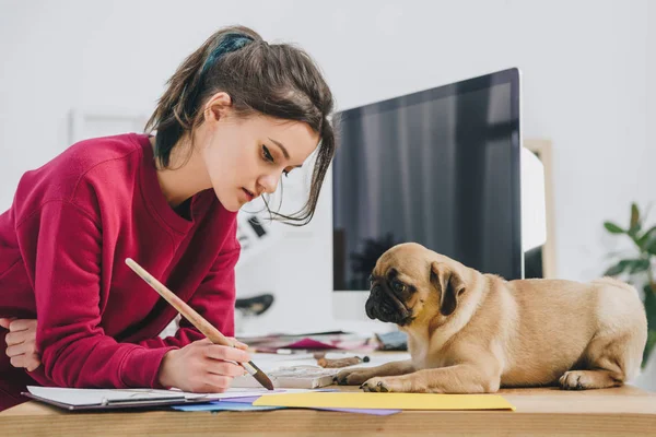 Cute pug looking at girl working on illustrations on working table with computer — Stock Photo