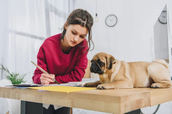 Linda dama trabajando en ilustraciones con lindo pug en la mesa de trabajo con el ordenador - foto de stock