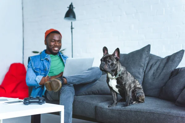 Bonito homem afro-americano trabalhando no laptop enquanto sentado no sofá com bulldog — Fotografia de Stock