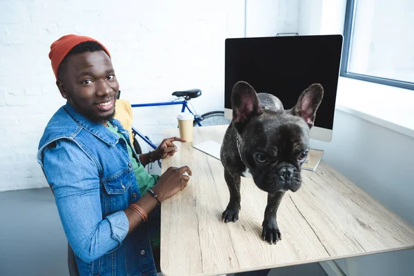 Bouledogue français debout sur la table avec ordinateur par un jeune homme pigiste — Photo de stock