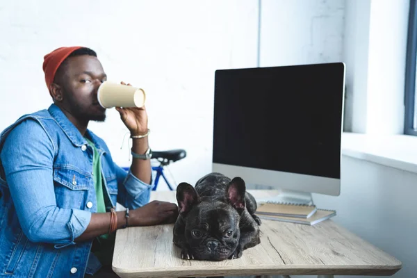 Junger Mann trinkt Kaffee von französischer Bulldogge, die auf Computertisch liegt — Stockfoto