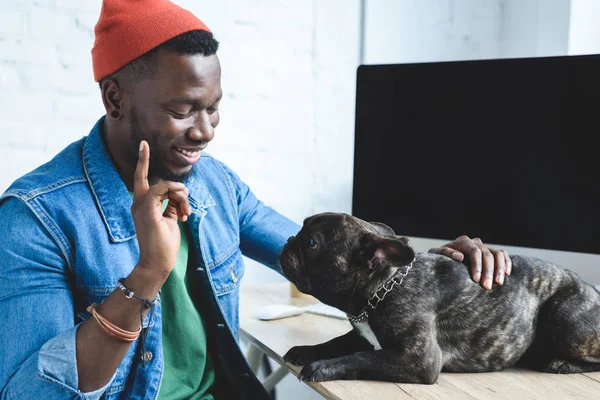 Афроамериканець людиною звинувачувати Frenchie собака на таблицю за допомогою комп'ютера — стокове фото