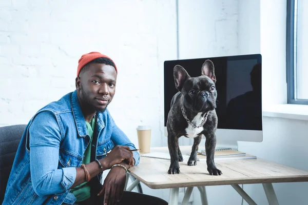 Bulldog francés de pie sobre la mesa con ordenador por el joven freelancer - foto de stock