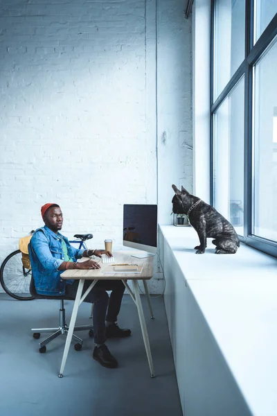 Beau Afro-Américain travaillant par ordinateur tandis que le bouledogue français assis sur le rebord de la fenêtre — Photo de stock