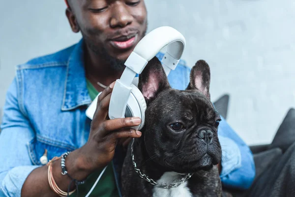Young man wearing headphones on French bulldog — Stock Photo