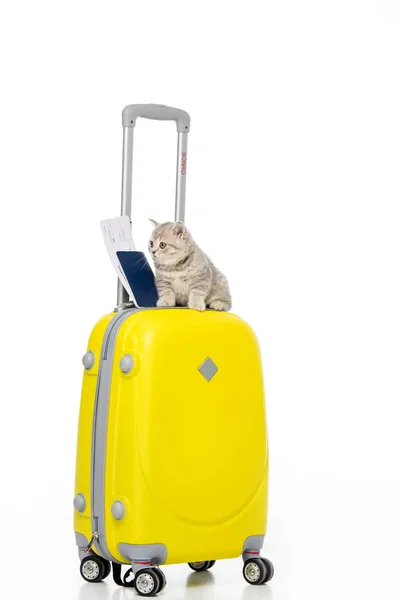 Chaton avec passeport et billet sur valise jaune isolé sur blanc — Photo de stock