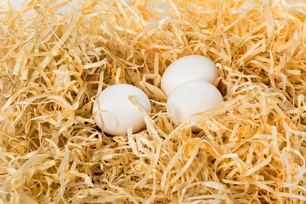 Vue rapprochée du groupe d'œufs de poule blancs crus dans le nid — Photo de stock