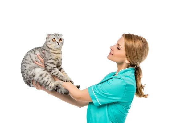Side view of veterinarian holding cute fluffy cat isolated on white — Stock Photo