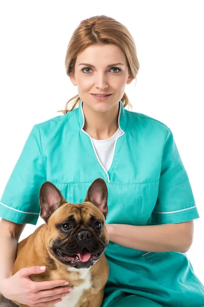 Joven veterinario femenino sosteniendo bulldog francés y mirando a la cámara aislada en blanco - foto de stock
