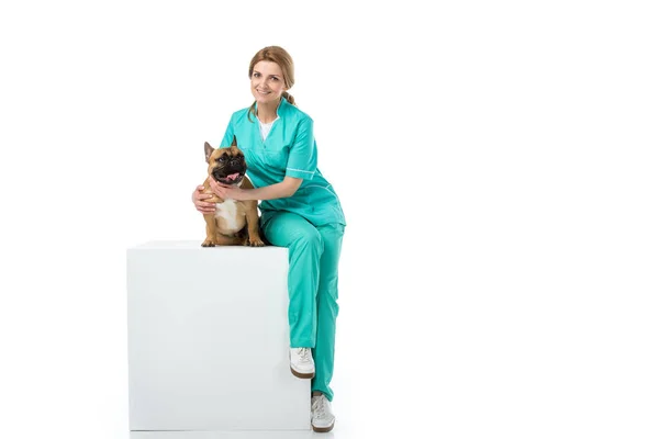 Smiling veterinarian hugging french bulldog while sitting on white cube isolated on white — Stock Photo
