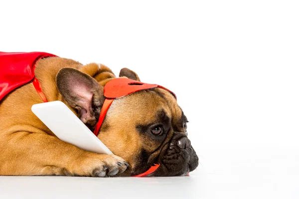 Vista de cerca de bulldog francés lindo en traje de superhéroe con teléfono inteligente aislado en blanco - foto de stock