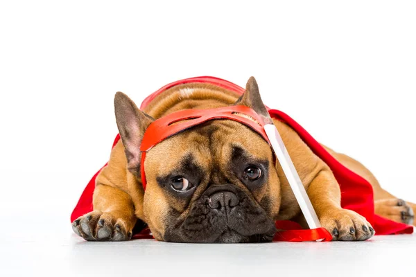 Vista de cerca de bulldog francés lindo en traje de superhéroe con teléfono inteligente aislado en blanco - foto de stock