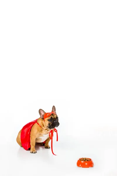 Adorable bulldog francés en traje de superhéroe sentado cerca de un tazón lleno de comida para perros aislado en blanco - foto de stock