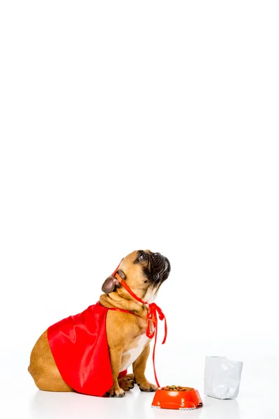 Adorable bulldog francés en traje de superhéroe sentado cerca de un tazón lleno de comida para perros aislado en blanco - foto de stock