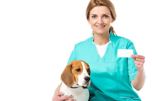 Portrait of smiling veterinarian with beagle dog near by showing blank card in hand isolated on white — Stock Photo