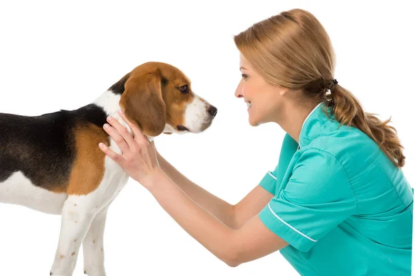 Вид сбоку улыбающегося ветеринара в форме с собакой-бродягой, изолированной на белом — стоковое фото