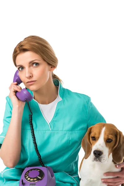 Portrait of veterinarian with beagle dog near by talking on telephone isolated on white — Stock Photo
