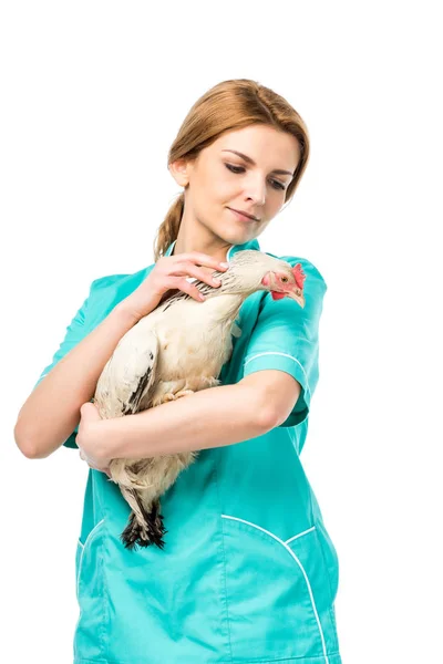 Portrait of veterinarian in uniform holding chicken isolated on white — Stock Photo