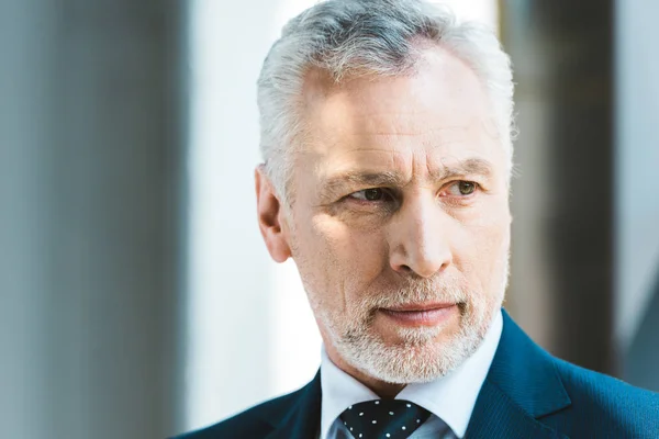 Close-up portrait of handsome senior businessman looking away — Stock Photo