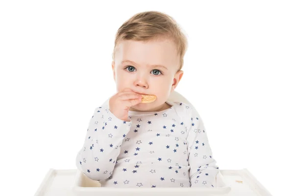 Bébé garçon manger des biscuits assis dans une chaise haute isolé sur fond blanc — Photo de stock