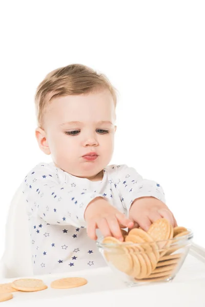 Kleiner Junge nimmt Kekse aus Schüssel und sitzt isoliert im Hochstuhl auf weißem Hintergrund — Stockfoto