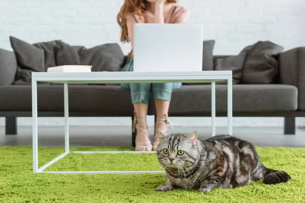 Plan recadré de la femme travaillant avec un ordinateur portable tandis que son chat couché sur le sol au premier plan à la maison — Photo de stock