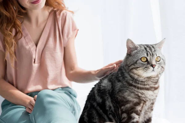 Recortado disparo de joven mujer acariciando lindo tabby gato mientras sentado en windowsill - foto de stock