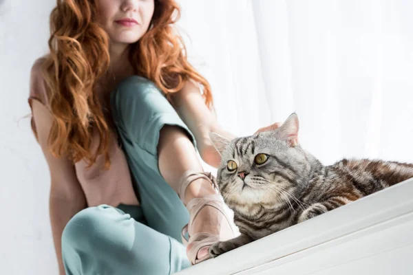 Recortado disparo de mujer joven acariciando gato tabby mientras está sentado en alféizar de la ventana en casa - foto de stock