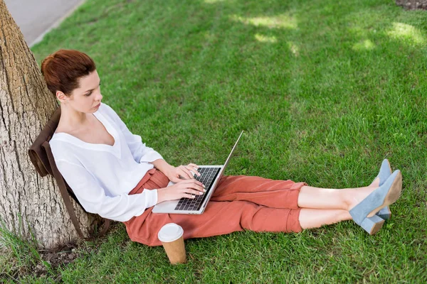 Schöne junge Freiberuflerin arbeitet mit Laptop und lehnt sich im Park auf Baumstamm zurück — Stockfoto