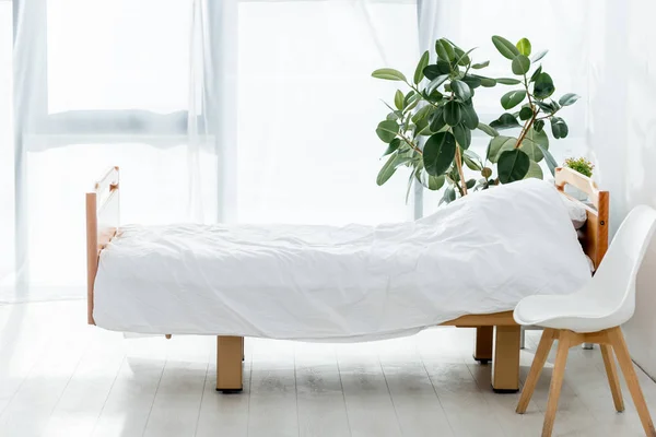 Intérieur de la salle d'hôpital avec lit, plante et chaise — Photo de stock