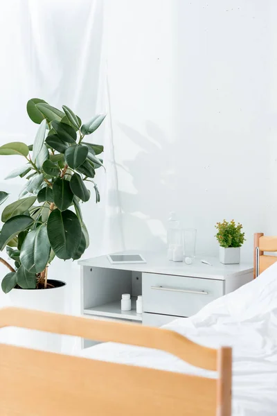 Krankenhausstation mit Bett, Pflanzen und Holztisch in Klinik — Stockfoto