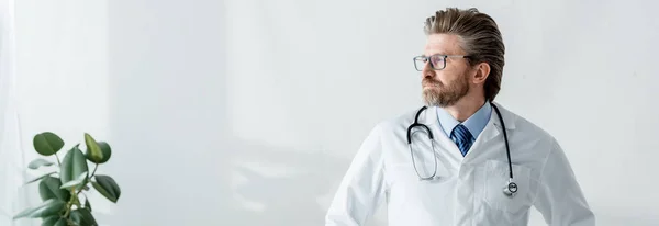 Панорамний знімок красивого лікаря в білому пальто, який дивиться в лікарню — стокове фото