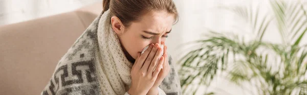 Panoramic shot of sick girl, wrapped in blanket, sneezing in napkin — Stock Photo