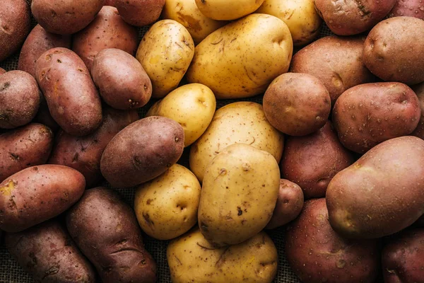 Batatas cruas orgânicas sobre fundo branco — Fotografia de Stock