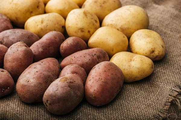Patatas crudas orgánicas sobre saco rústico marrón - foto de stock