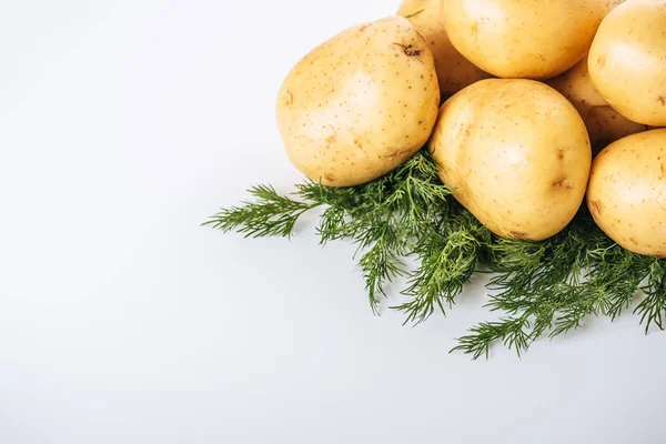 Batatas cruas com endro fresco no fundo branco — Fotografia de Stock