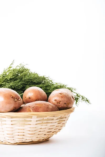 Batatas cruas com endro fresco em cesta de vime no fundo branco — Fotografia de Stock
