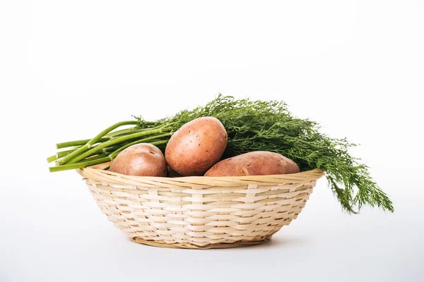 Batatas cruas com endro fresco em cesta de vime no fundo branco — Fotografia de Stock