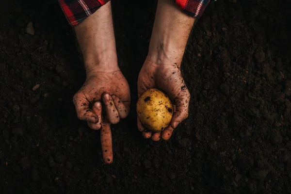 Vue partielle de l'exploitation agricole sale pommes de terre mûres dans le sol et montrant le majeur — Photo de stock