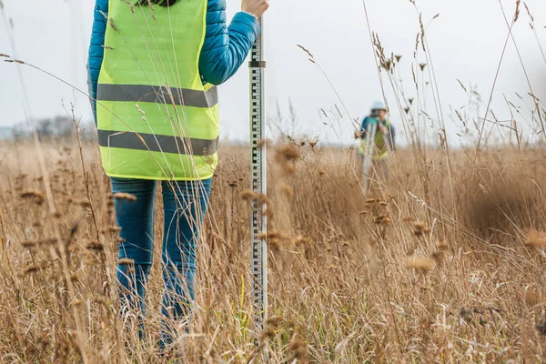 Cropped view of surveyors with survey ruler and digital level in field — Stock Photo
