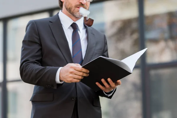 Cropped view of diplomat smoking pipe and holding folder with documents — Stock Photo