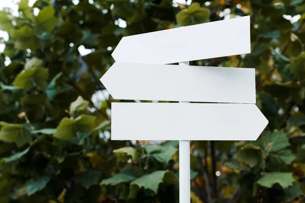 White and empty directional arrows near bush with green leaves — Stock Photo