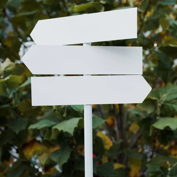 Close up of white and empty directional arrows near bush with green leaves — Stock Photo