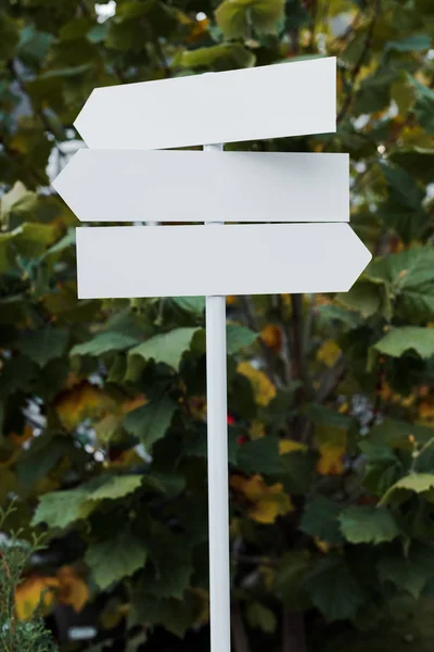 Flèches directionnelles blanches et vides près des feuilles vertes — Photo de stock