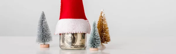 Panoramic shot of decorative and small pines near jar with dollar banknotes with santa hat on white — Stock Photo