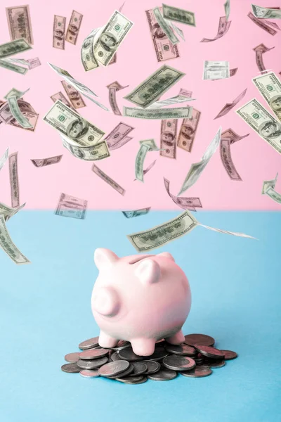 Silver coins near piggy bank and falling dollar banknotes on blue and pink — Stock Photo