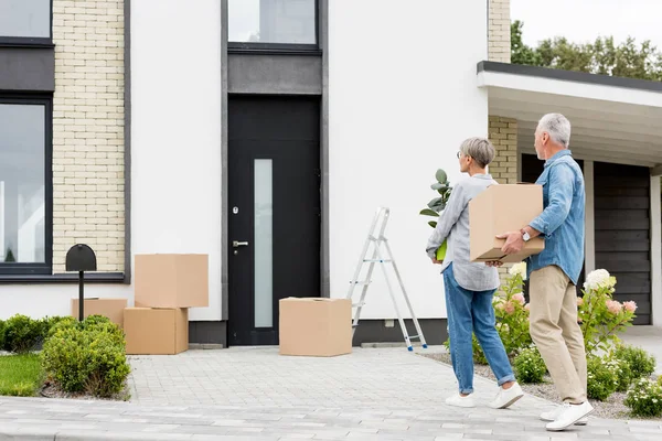 Mature man holding box and woman holding plant near new house — Stock Photo