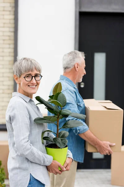 Selektiver Fokus der Frau, die Pflanze in der Nähe hält, und des reifen Mannes, der Kiste in der Nähe des neuen Hauses im Hintergrund hält — Stockfoto
