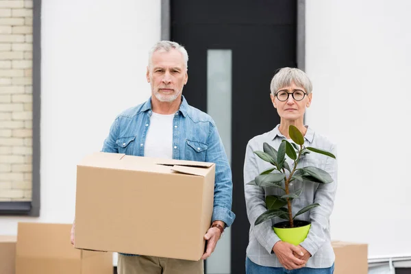 Hombre maduro sosteniendo caja y mujer sosteniendo planta cerca de casa nueva - foto de stock